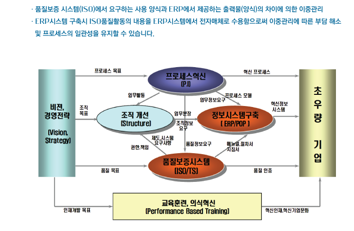 성공적 정보화 모델